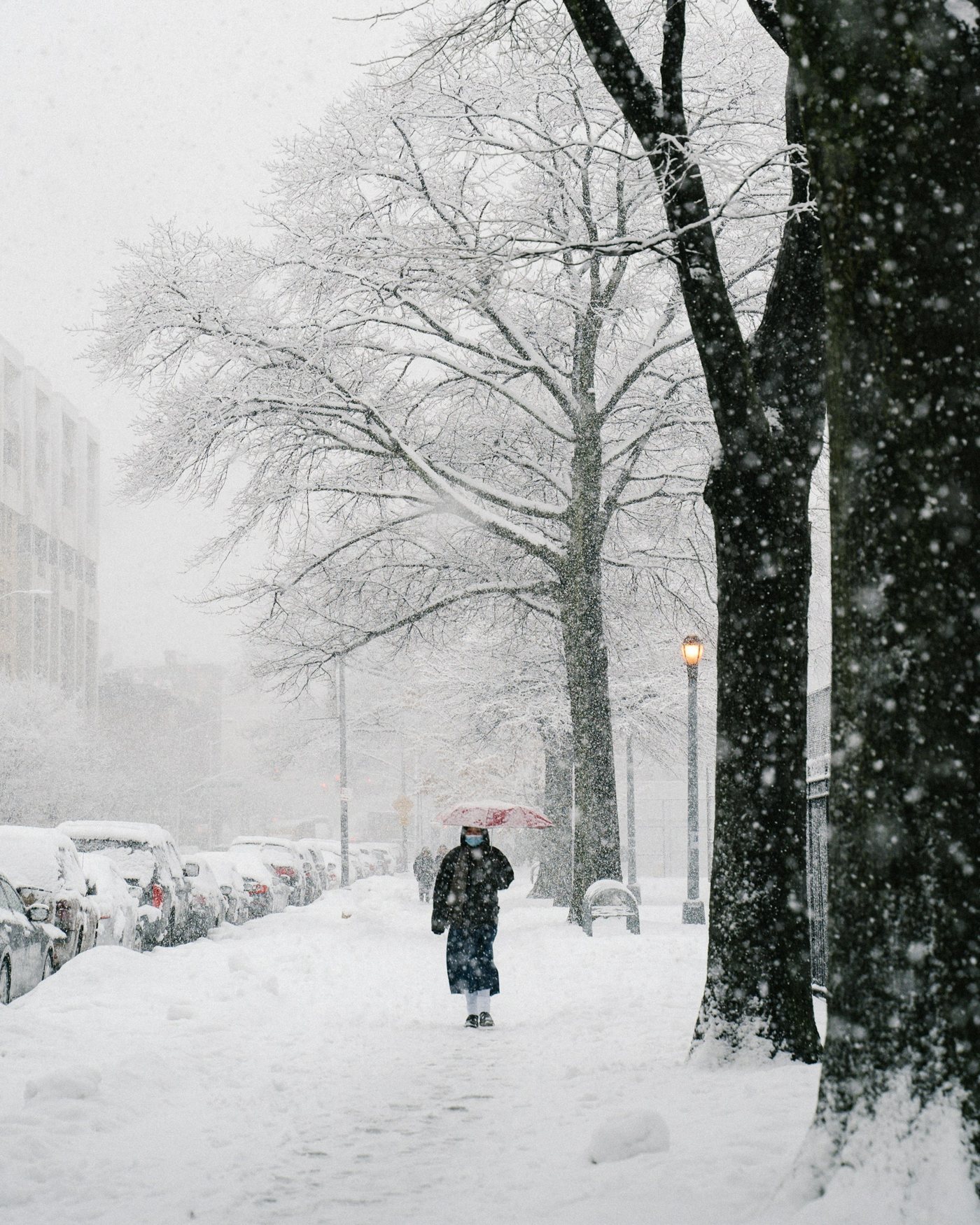 Heavy snowfall covering a Brooklyn sidewalk and parked cars